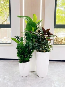 了解宁波前湾绿化养护公司，开启绿色家园新篇章